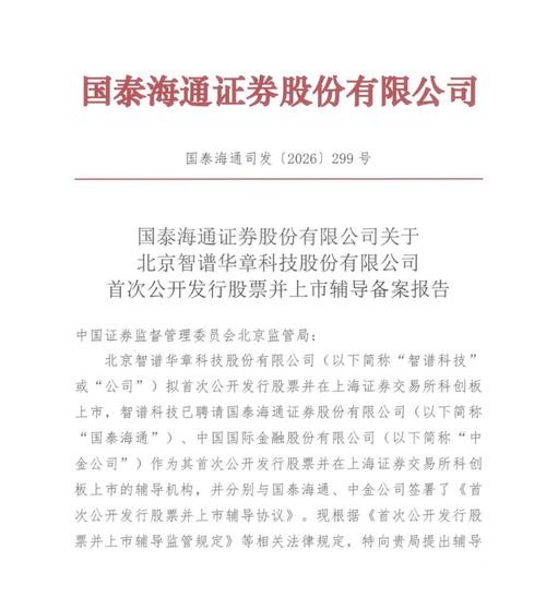 港股大模型第一股5日狂飙138%，A股IPO有新进展